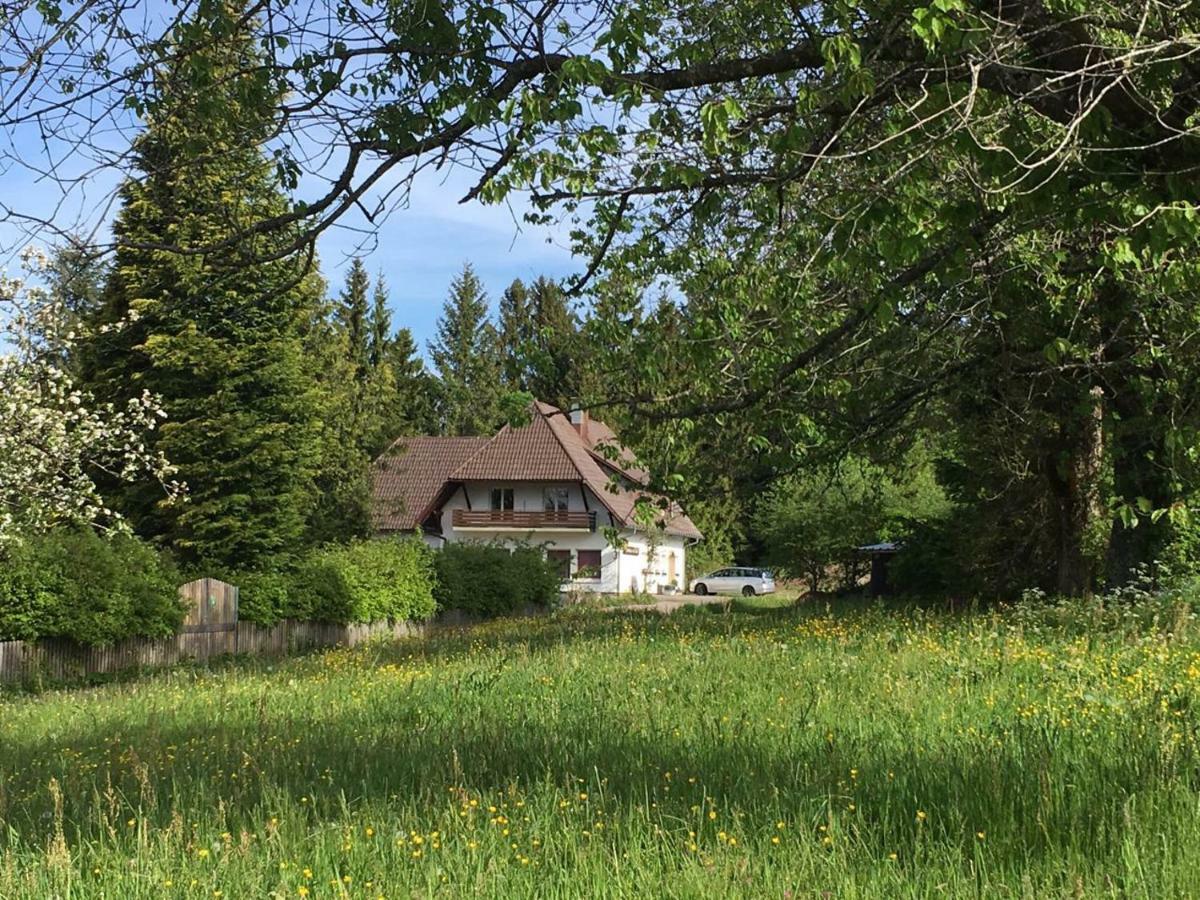 B & B Der Waldvogel Herrischried Exteriör bild